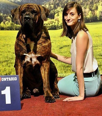 KAMILA VOJTÍŠKOVÁ - Příprava na výstavy, Handling