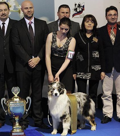 LINDA HODOVÁ - Příprava na výstavy, Handling