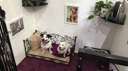 VIP PETS na výstavě FOR PETS (3)