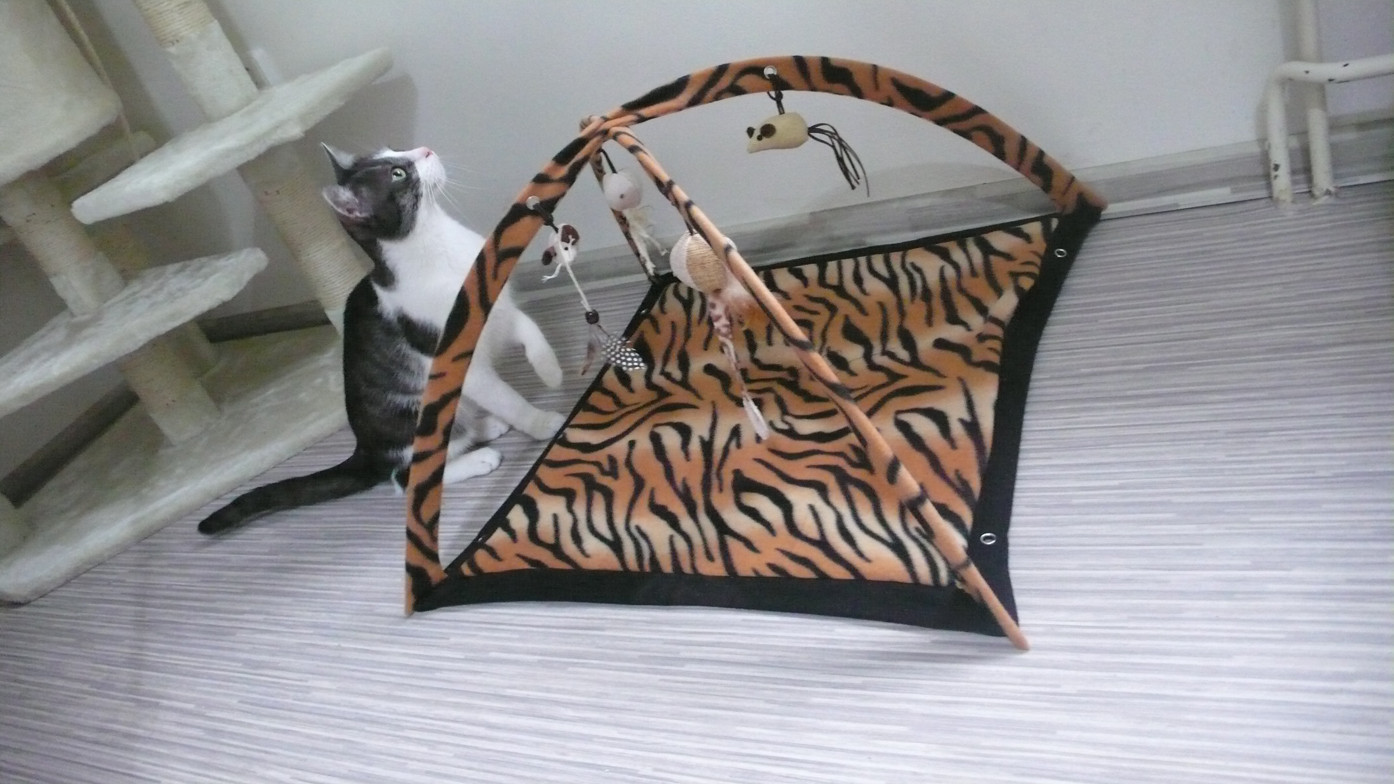 Hotel pro kočky VIP CATS
