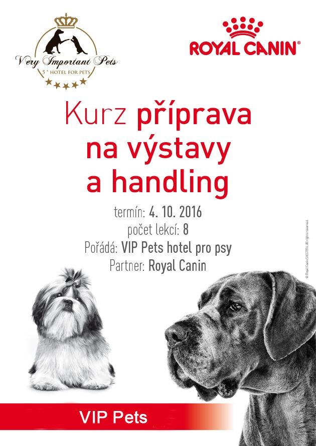 Vizuál Příprava na výstavy a handling