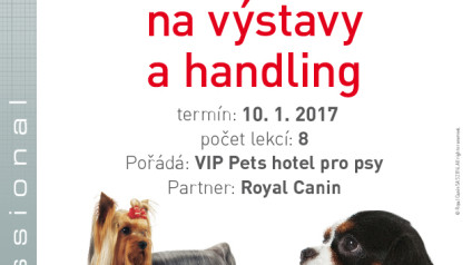 Leták k otevření nového kurzu handlingu a přípravy na výstavy