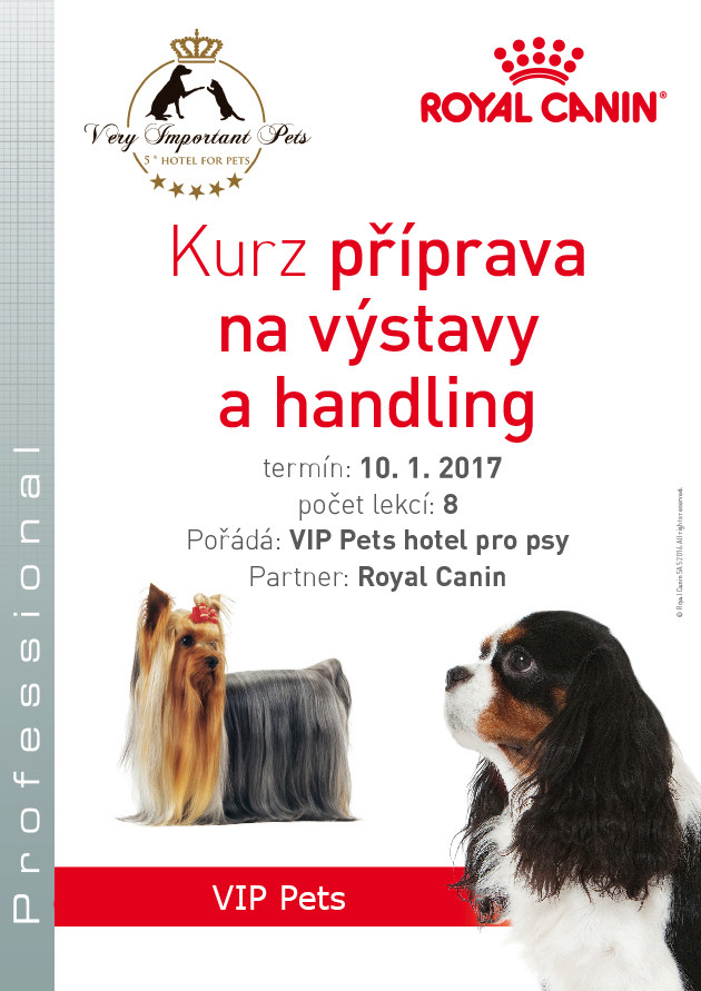 Leták k otevření nového kurzu handlingu a přípravy na výstavy